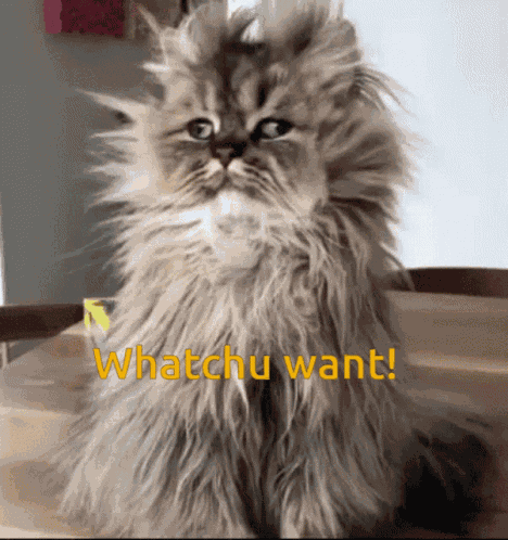 Huh GIF