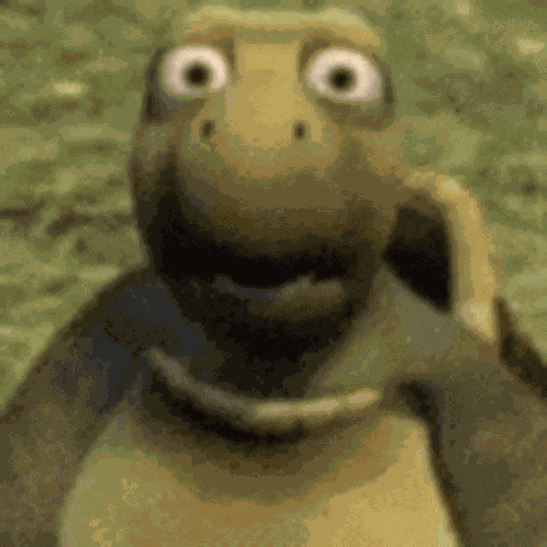 Huh Shocked Turtle GIF