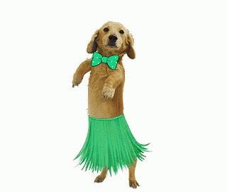 Hula Dog GIF