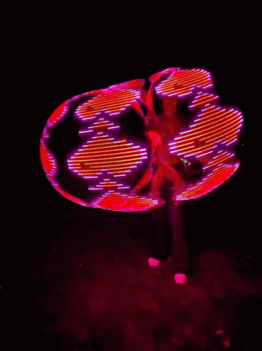 Hula Hoop Burning Man GIF