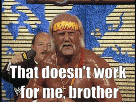 Hulk Hogan Hulk Hogan Brother GIF
