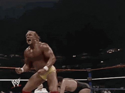 Hulk Hogan Wwe GIF