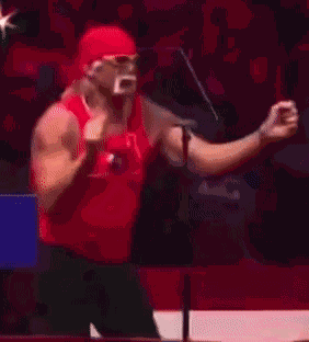 Hulk Hulk Hogan GIF