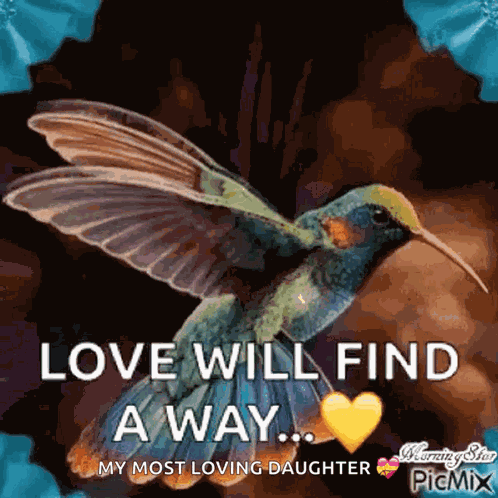 Humming Bird Love Will Find A Way GIF