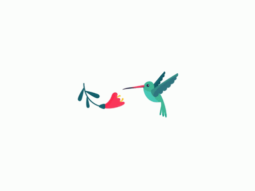 Hummingbird Eating GIF