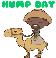 Hump Day Camels Sticker