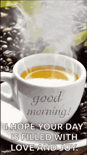 Humpday Good Morning GIF