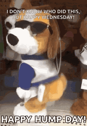 Humpday Stuffed Toy GIF