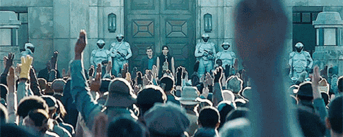 Hunger Games Kitty GIF