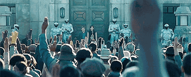 Hunger Games Kitty GIF