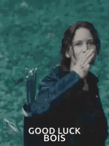 Hunger Games The Mockingjay GIF