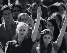 Hungergames Love GIF