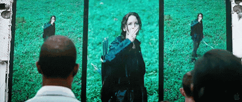 Hungergames Salute GIF