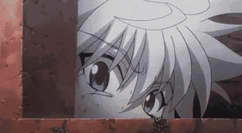 Hunter X Hunter Hxh GIF