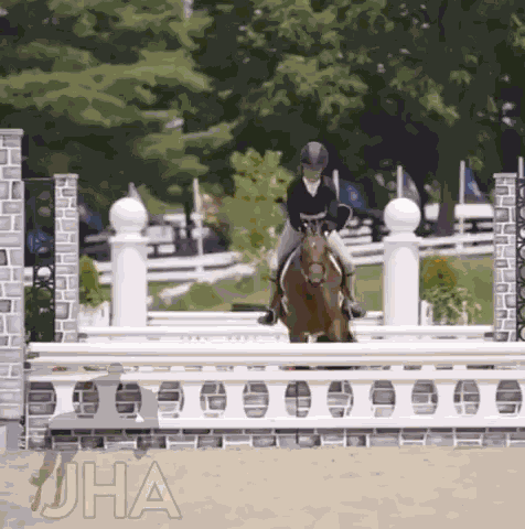 Hunterjumping Horse GIF