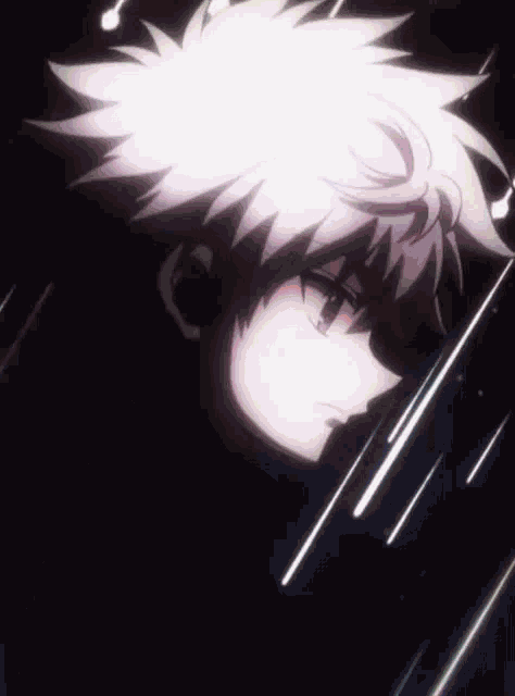 Hunterx Hunter Anime GIF