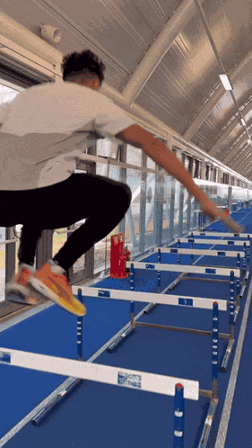 Hurdles Jumping GIF