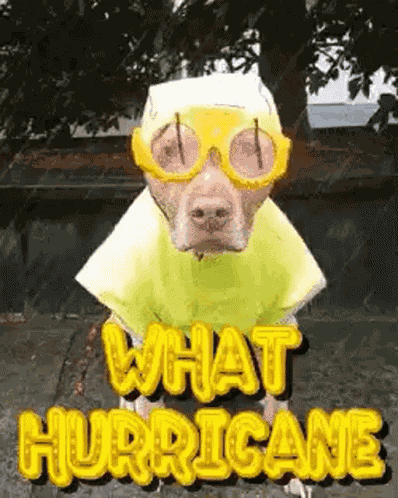 Hurricane GIF
