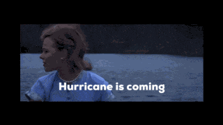 Hurricane Florida GIF