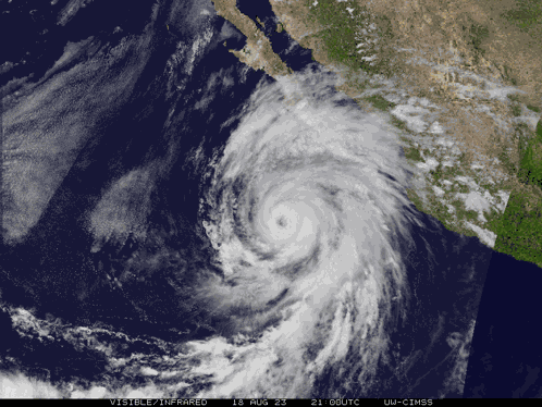 Hurricane Hillary GIF