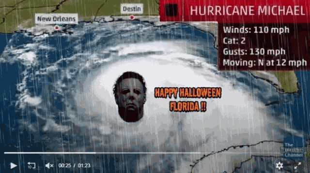 Hurricane Michael GIF