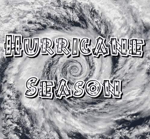 Hurricane Winds Hurricane Florence GIF