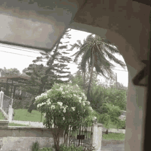 Hurricane Winds Storm GIF