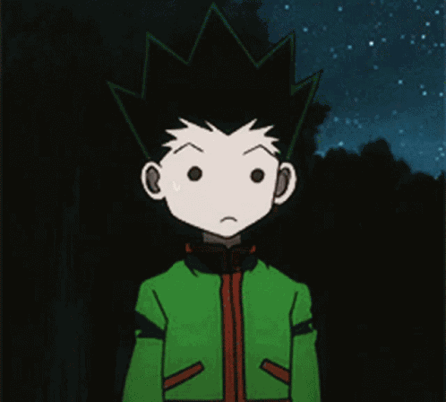 Hxh Gon GIF