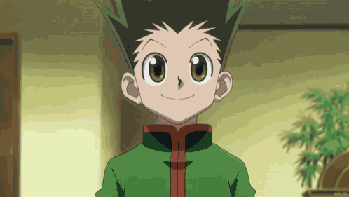 Hxh Hunter X Hunter GIF