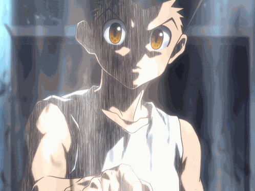 Hxh Hunter X Hunter GIF