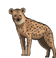 Hyena Spotted Hyena Sticker