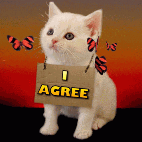I Agree Agreed GIF