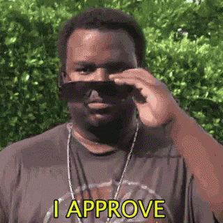 I Approve GIF