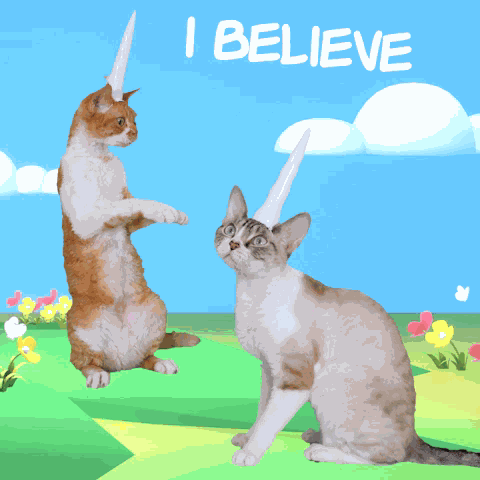 I Believe Cat Unicorn Devon Rex Cute Dancing Flowers Clouds GIF