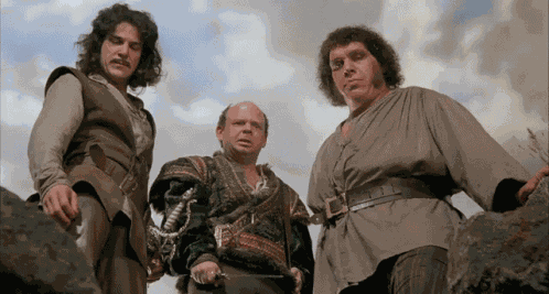 I Do Not Think It Means What You Think It Means Princess Bride GIF