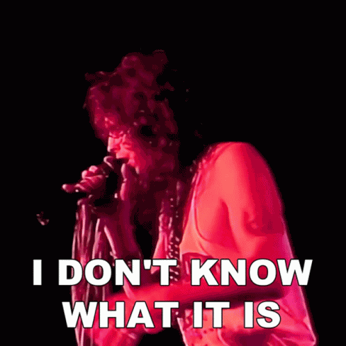 I Dont Know What It Is Steven Tyler GIF