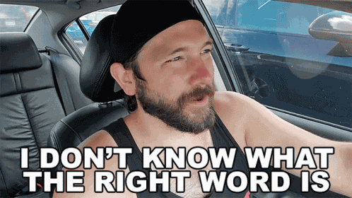 I Dont Know What The Right Word Is Michael Kupris GIF