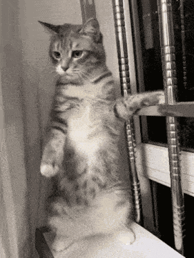 I Got It GIF