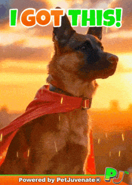 I Got This I Will Help GIF