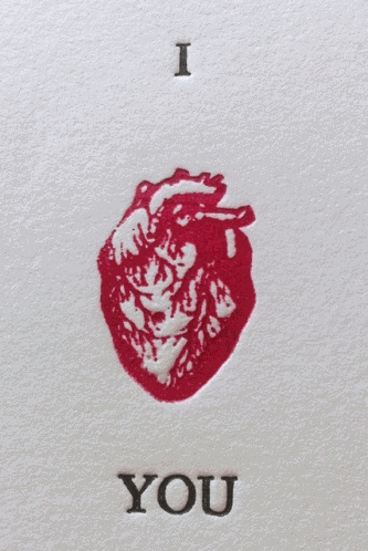 I Heart You I Love You GIF