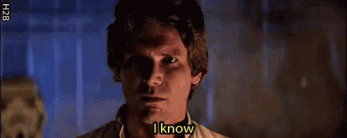 I Know Harrison Ford GIF