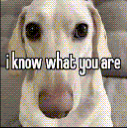 I Know What You Are Meme