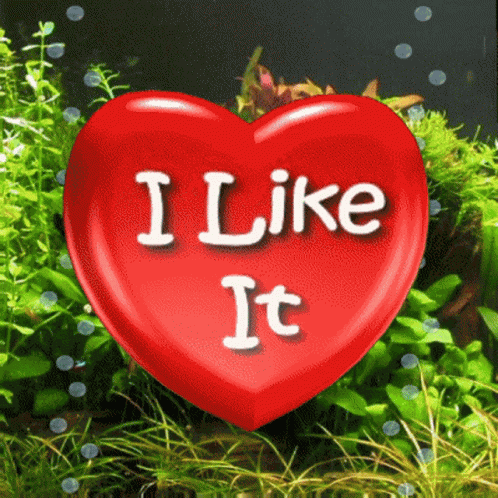 I Like It Like GIF