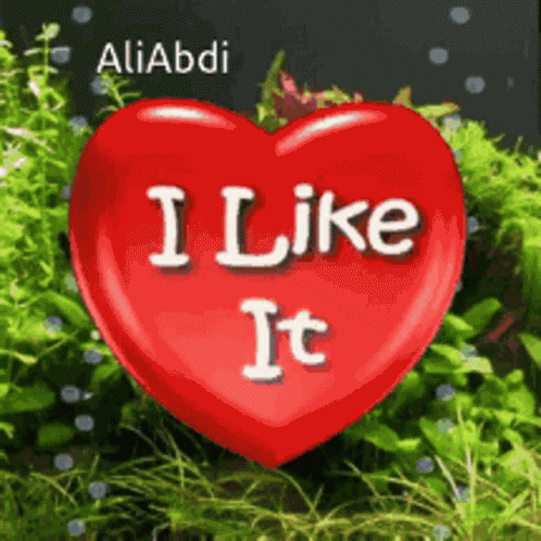 I Like It GIF