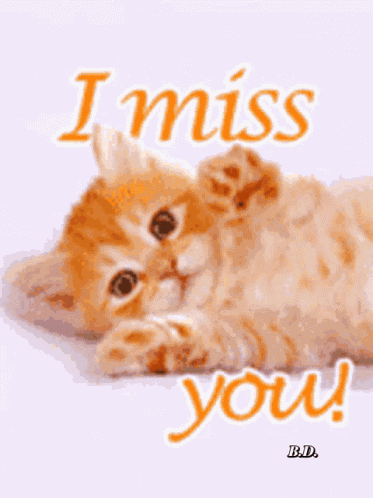 I Love U GIF