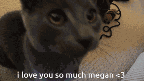 I Love U Mgan GIF