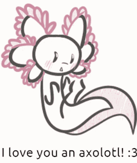 I Love You An Axolotl Olie Axolotl GIF