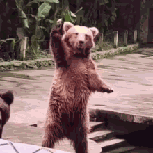 I Love You GIF