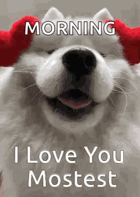 I Love You Dog GIF