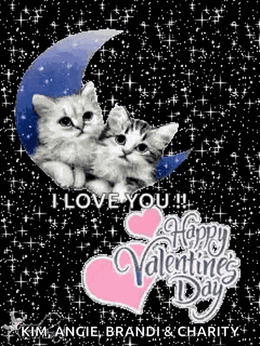 I Love You Happyy Valentines Day GIF